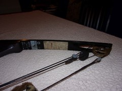 Martin M-7 Lynx Magnum Compound Bow