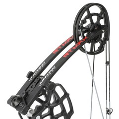 Compound Bow Dual-use Short Axis 40-65lbs Steel Ball Arrow Hunting Fishing RH LH