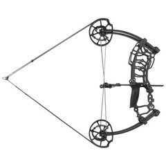 Compound Bow Dual-use Short Axis 40-65lbs Steel Ball Arrow Hunting Fishing RH LH
