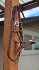 Vintage MacPherson Los Angeles Show Halter North & Judd Buckles Silver Overlay