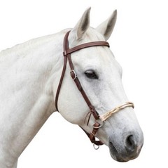 Horse Jaquima FARO Leather Double Rawhide Bosal Bitless Training Trail Bridle