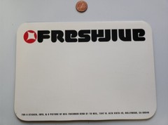 Fresh Jive Streetwear Vintage 1990s Dealer Catalog Dominique Simone Chasey Lain
