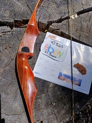 Vintage Ben Pearson Archery BP-H70 recurve 50#