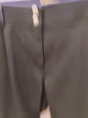 Devon Aire Signature Breech Black And Purple Size 34 Long NWT