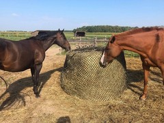 Tech Equestrian Upgraded 45mm Thick Round Bale Slow Feed Hay Net 5×4 Hole_Siz…