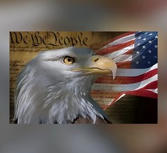 US Flag Bald Eagle WE THE PEOPLE Credit Debit Card SkinCoverSticker Chip 1PC