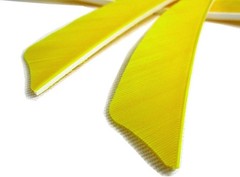 Visibility and Control: 4» Real Turkey Feathers for Accurate Archery – 25 Pack