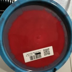 Innova Halo Star Rollo Midrange Disc 181g Red/Blue Enhanced Grip 5 6 -4 1