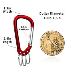 XIECHANEE 6 Pack D-Shape Aluminum Alloy Carabiner 60mm x 30mm, MULTI-COLOR