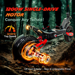 1200W Electric Scooter for Adult 48V13AH 28MPH 11» Off-road Commuting E-Scooter