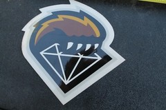 Diamond Supply Clothing Grizzly Bear Claw OG Z34A Vintage Skateboarding STICKER