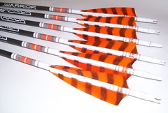 Goldtip warriors arrows for Traditional archery