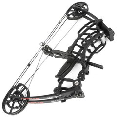 Compound Bow Dual-use Short Axis 40-65lbs Steel Ball Arrow Hunting Fishing RH LH