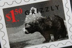 GRIZZLY Skateboard Griptape Baby Bear Stamp Z47A Original Skateboarding STICKER