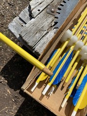 Vintage Lot Of 12 Wood Shaft Practice Arrows Some Need New Feathers