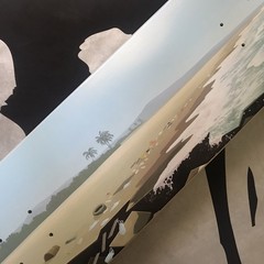 ELEMENT Skateboard Landscape South America Deck Future Is Nature Beach Litter