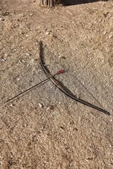 54″ 20-70 LBS Traditional Recurve Bow Wooden Longbow for Archery Hunting Target