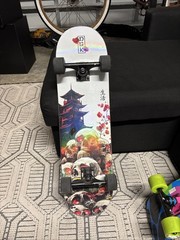 DGK Haunt 8.25″ Skateboard Complete Thunder Trucks Slime Balls Speed Wheels