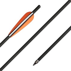 12X 20 inch Crossbow Bolts Carbon Hunting Arrows OD8.8mm Archery Shooting Target