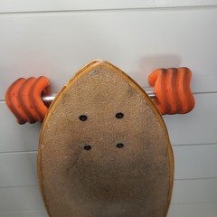 Sector 9 Swamis Bamboo complete longboard with shark wheels 34′ long