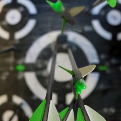 12 Pack Ambidextrous Carbon Arrows – 29 Inch with Strong TPU Vanes for Accuracy