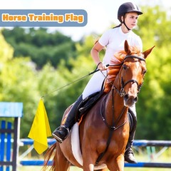 Equestrian Training Flag 4 18 x 18 inches, Yellow, Pink, Purple, Dark Blue