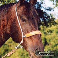 Classic Equine Headset Tiedown – 3/8” Hard Nylon Double Rope with Leather Cover