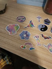 Cute Colorful Stickers Unisex Kids Skateboard Laptop Decal 18 Pack Animals Cat