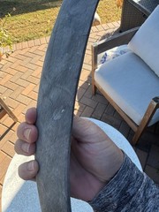 archery / buffalo horn / approximately 29.5 inches