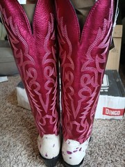 Dingo Women’s Take No Bull Fuchsia Cowboy Boots Size 8