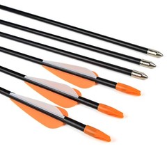 Elong Fiberglass Arrows Archery 24 Inch Target Shooting Practice Safetyglass …