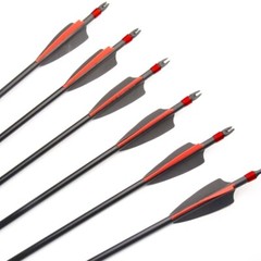 12 Pcs 30inch Fiberglass Arrows Archery OD 8mm For Recurve/Compound bow Hunting