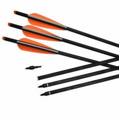 20 inch Archery Crossbow Carbon Arrows Bolts Targeting Hunting Shooting 6/12pcs