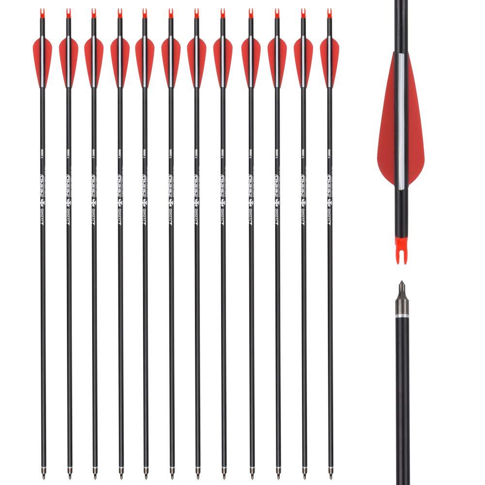 26 inch Carbon Arrow Hunting Arrows with 100 Grain Removable Tips for Archery…