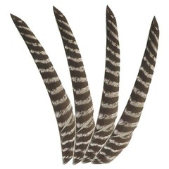 50X Full Length Arrow Feathers Turkey Fletches Fletching RW LW Archery Shaft DIY