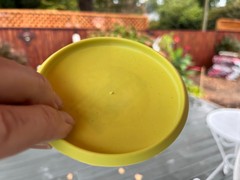 1992 Heavyweight Worlds Indianapolis Worlds Innova Ontario MINI Disc Golf #530