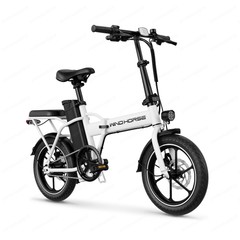 630W 2-Seat 16″ Tire Foldable Ebike 25MPH Commuter Electric Bicycle for Adult US