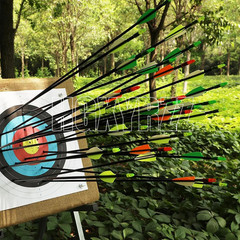 Archery 24/48pcs 31″ Archery Fiberglass Arrows Dense Shaft Tip Hunt Practice