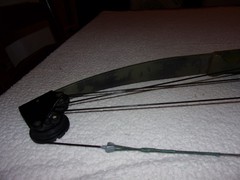 Vintage Bear Whitetail Hunter Green Camo Compound Bow