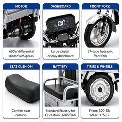 Electric Tricycle Cargo Truck 600W Free Shipping Electric Cargo Trike Orchard