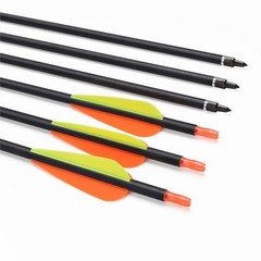 Carbon Arrow Hunting Arrows with 100 Grain Removable Tips 3 inch Streamlined …