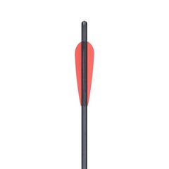 20in Hunting Carbon Crossbow Bolts Crossbow Arrows 100 Grain Broadheads Shooting