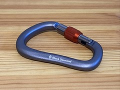 Black Diamond RockLock Screwgate Carabiner (gray)