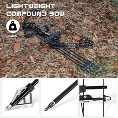 Adjustable Archery Eagle Compound Bow Set 20-70Lbs for Teens & Adults