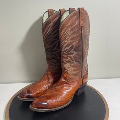 Dan Post Boots Men 9.5 Brown Eel Skin Leather Western Cowboy Snip Toe Exotic