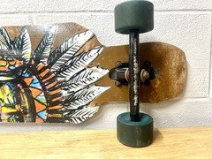 2013 Arbor The Catalyst 38 Skateboard Chief Native American Max Neutra Board