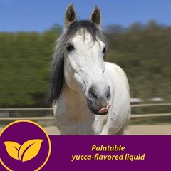 Horse Health Red Cell, Suplemento Liquido De Vitaminas, Hierro Y Minerales Para