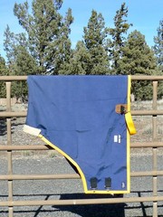 Gore-Tex Turnout Rug Dover Saddlery Classic Cover-Ups 76″ Blue Yellow Trim