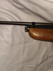 Crosman Model 400 Pellgun