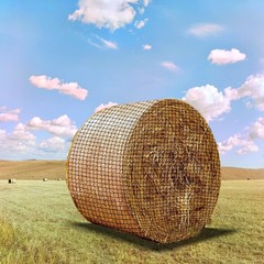 Ribowri 7 * 7ft Heavy Duty Slow Feeding Horse Hay Net 1.75inch knotless Desi…